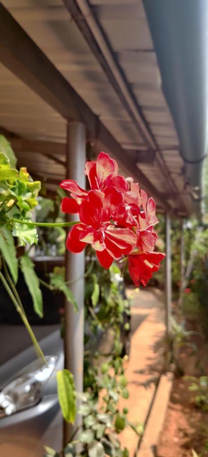 Westernghats Homestay Madikeri Exterior foto